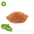 Organic Herb Holy Basil Leaf Extract 10:1 Powder